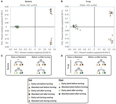 Characterization of Bacterial and Fungal Community Dynamics by High-Throughput Sequencing (HTS) Metabarcoding during Flax Dew-Retting